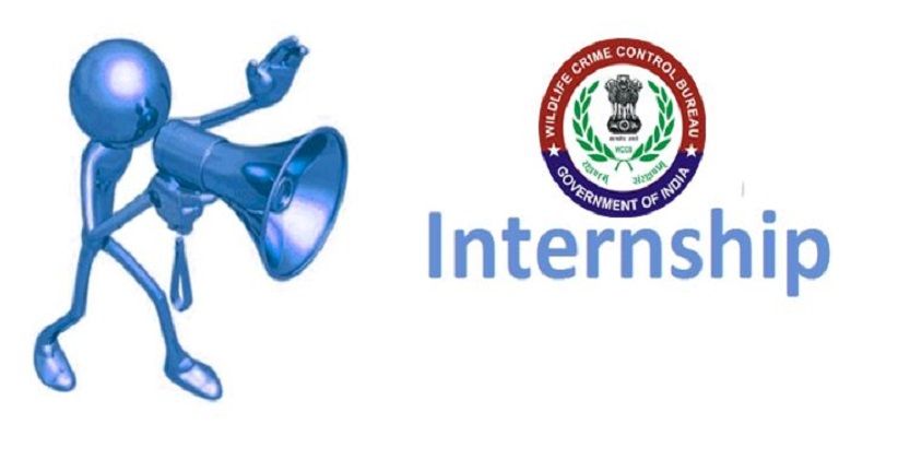 Internship-Opportunity-@-Wildlife-Crime-Control-Bureau-Ministry-Of-Environment.-Download-Application-Form